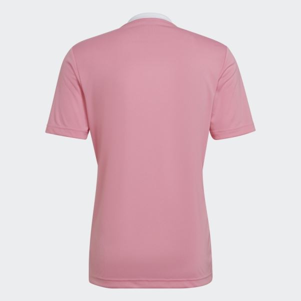 Maillot Entrada 22 Adidas Rose Lueur