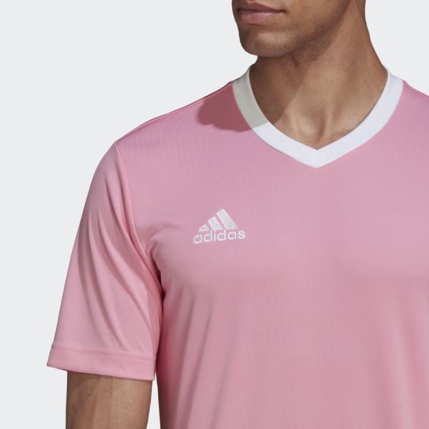 Maillot Entrada 22 Adidas Rose Lueur
