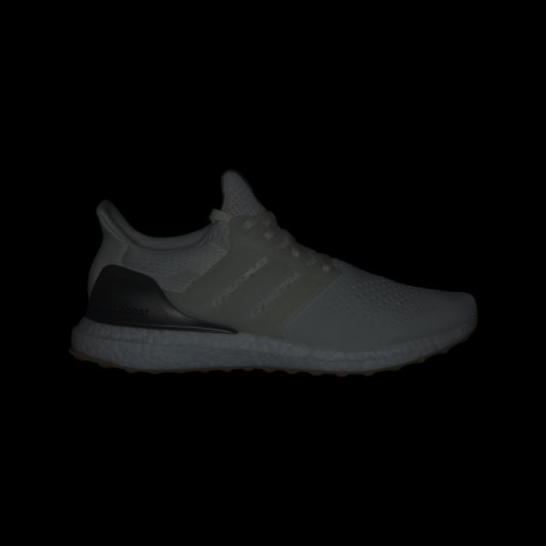 Adidas Ultraboost 1.0 Chaussures Noir