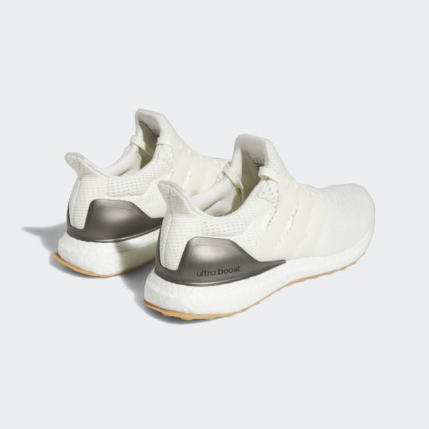 Adidas Ultraboost 1.0 Chaussures Noir