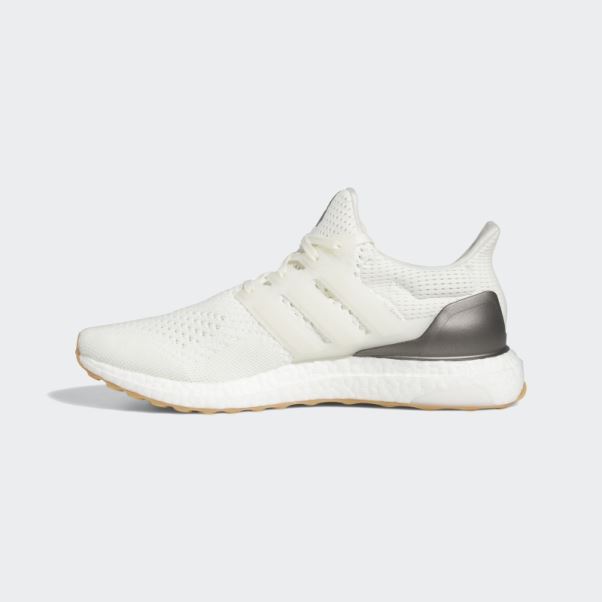Adidas Ultraboost 1.0 Chaussures Noir