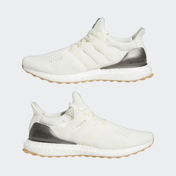 Adidas Ultraboost 1.0 Chaussures Noir