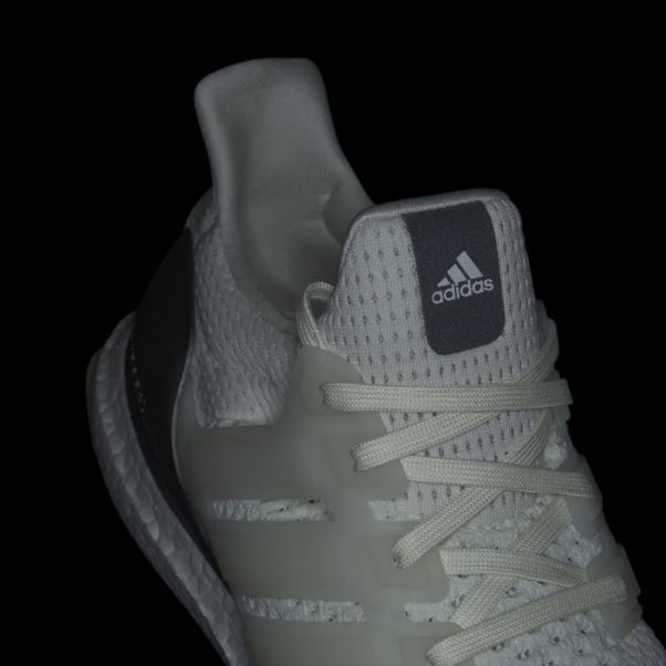Adidas Ultraboost 1.0 Chaussures Noir