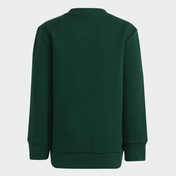 Adidas Adicolor Crew Set Vert Foncé