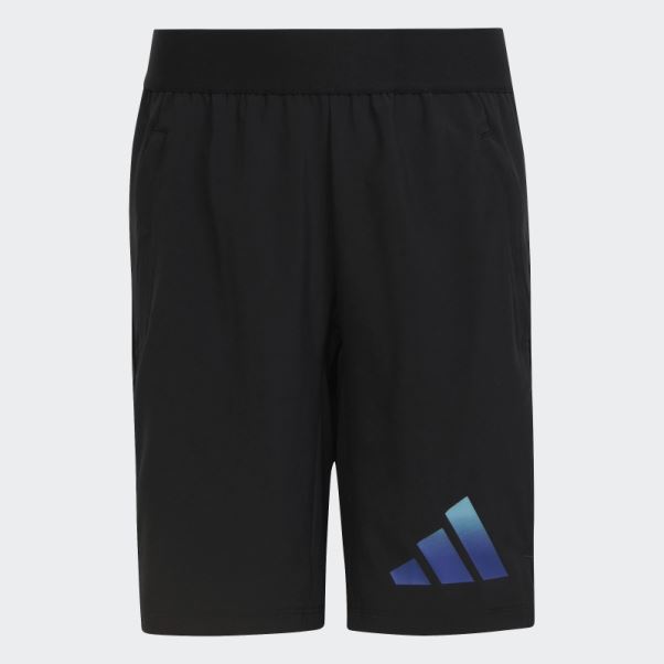 Train Icons Aeroready Short Tissé Logo Noir Adidas