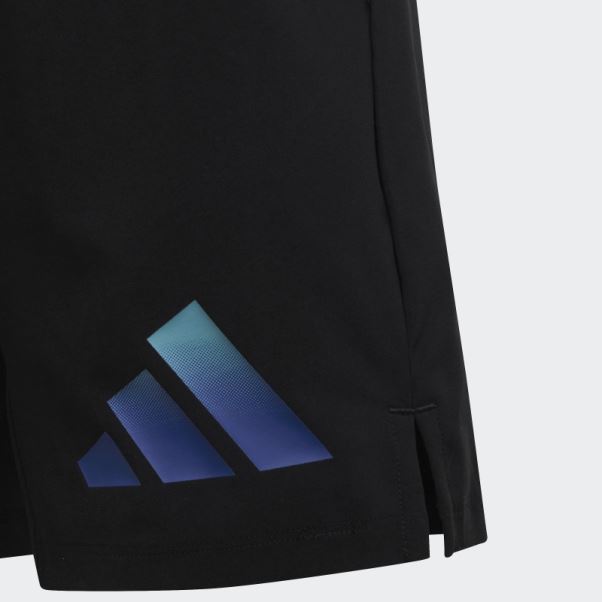 Train Icons Aeroready Short Tissé Logo Noir Adidas