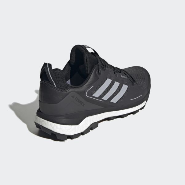 Chaussures De Randonnée Terrex Skychaser Gore-tex 2.0 Noir Adidas