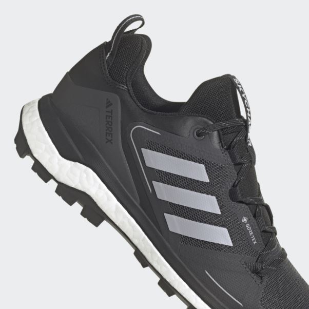 Chaussures De Randonnée Terrex Skychaser Gore-tex 2.0 Noir Adidas