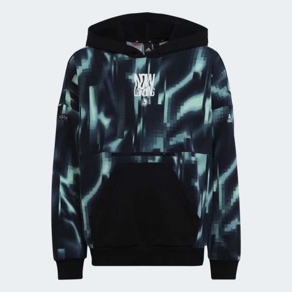 Sweat à Capuche Ample Adidas Arkd3 Noir