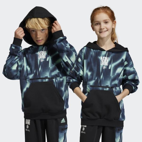 Adidas Arkd3 Sweat à Capuche Coupe Ample Noir