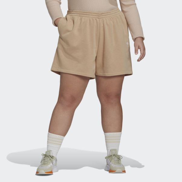 Short Adicolor Essentials (grande Taille) Adidas Beige