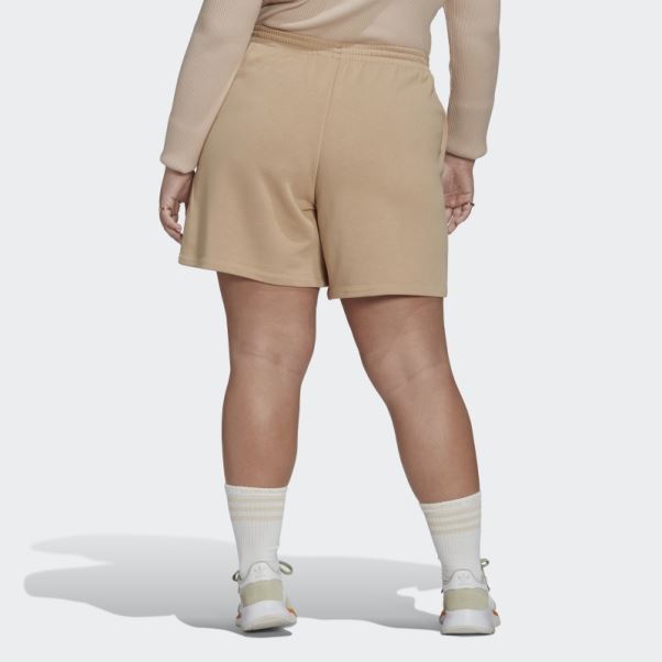 Short Adicolor Essentials (grande Taille) Adidas Beige