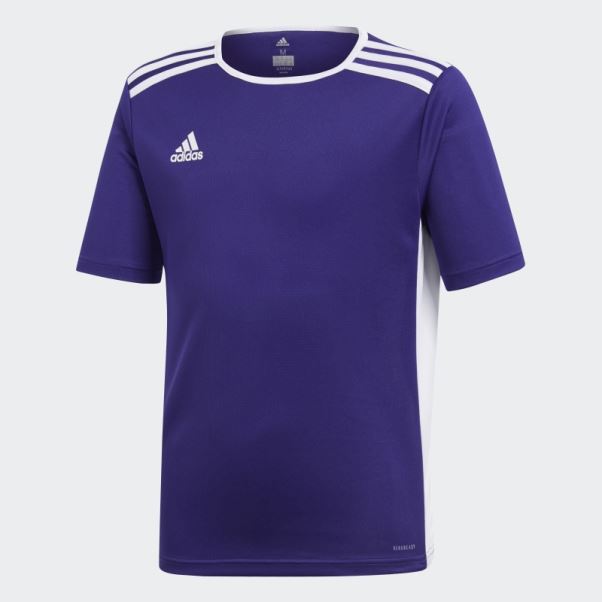 Maillot Adidas Entrada Violet