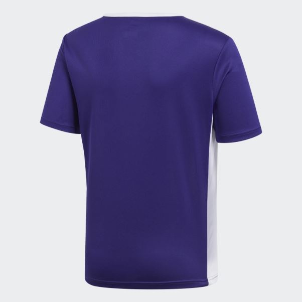 Maillot Adidas Entrada Violet