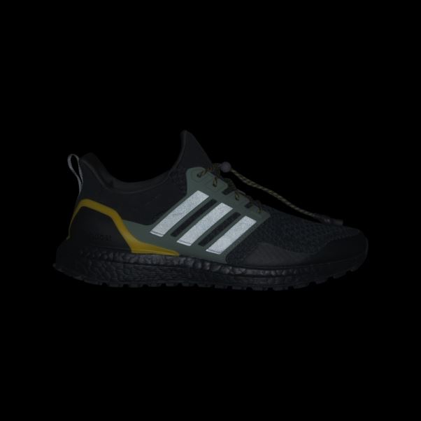 Chaussure Adidas Ultraboost 1.0 Carbone