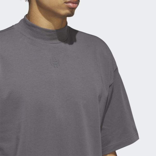 Harden T-shirt De Voyage Adidas Gris