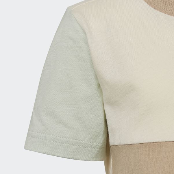 Sweat Adidas Colorblock Crew Vert