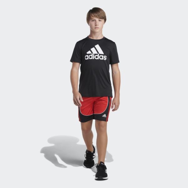 Short Adidas Creator Rouge
