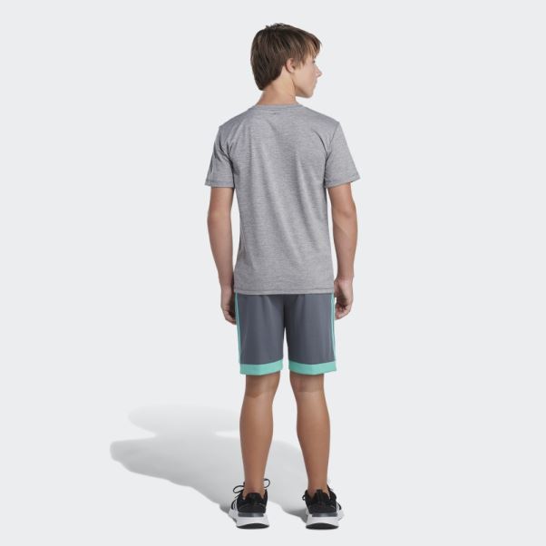 Short Gagnant Adidas Gris Vert