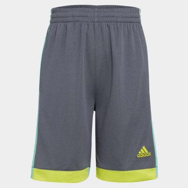 Short Gagnant Adidas Gris Vert