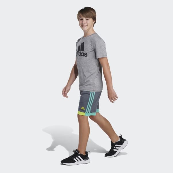 Short Gagnant Adidas Gris Vert