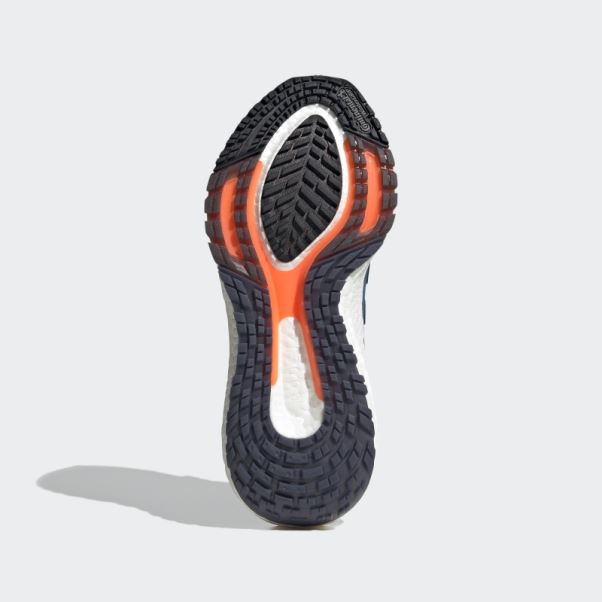 Chaussures Adidas Ultraboost 22 Cold.rdy 2.0 Bleu