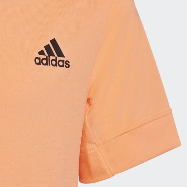 T-shirt Adidas Beam Orange Tennis New York Freelift