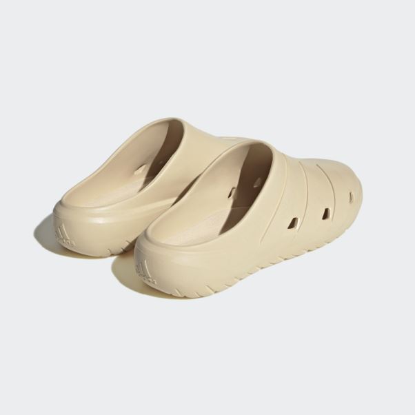Sand Adicane Sabots Adidas