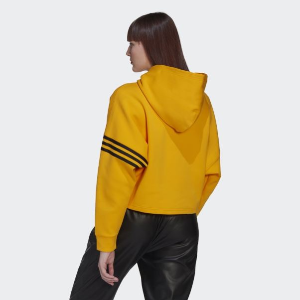 Adidas Adicolor Neuclassics Sweat à Capuche Or