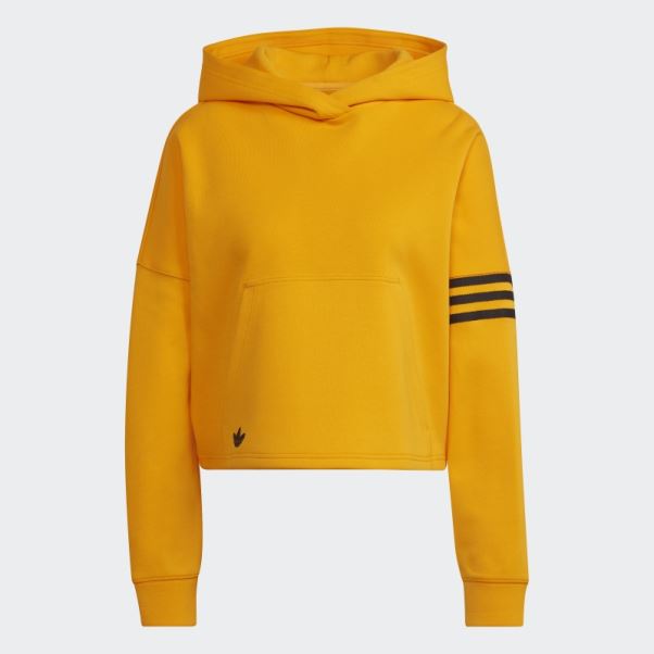 Adidas Adicolor Neuclassics Sweat à Capuche Or
