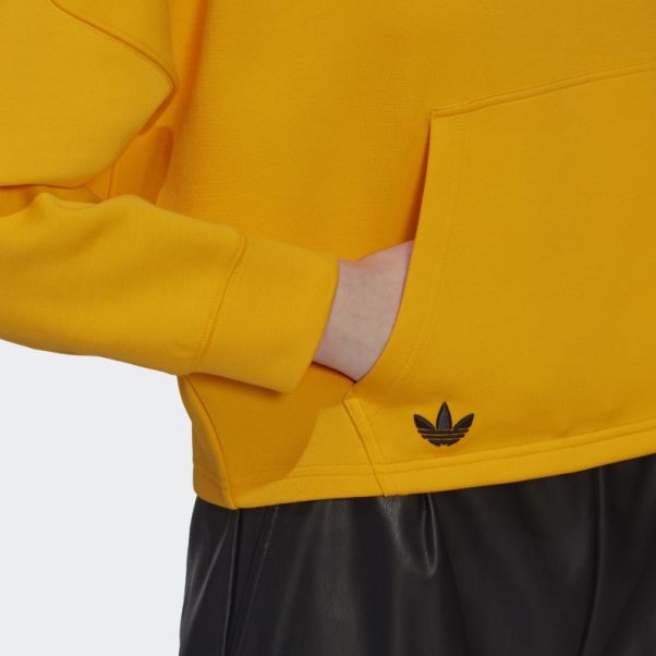 Adidas Adicolor Neuclassics Sweat à Capuche Or