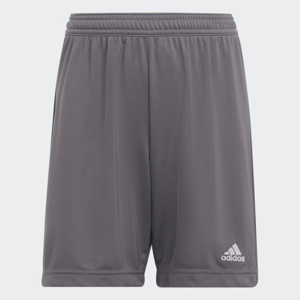 Short Adidas Entrada 22 Gris