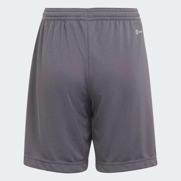 Short Adidas Entrada 22 Gris
