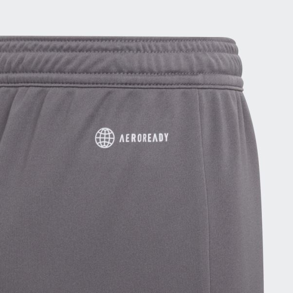 Short Adidas Entrada 22 Gris