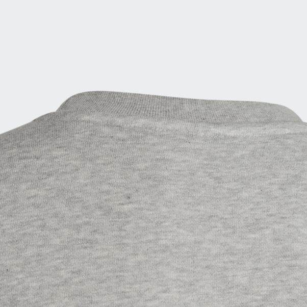 Sweat Adicolor Crew Gris Moyen Adidas