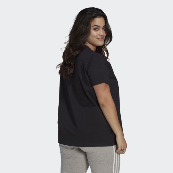 T-shirt Trèfle Adidas Adicolor Classics Noir (taille Plus)