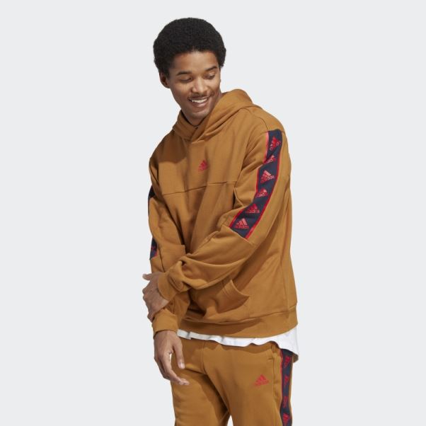 Sweat à Capuche Adidas Bronze Brandlove