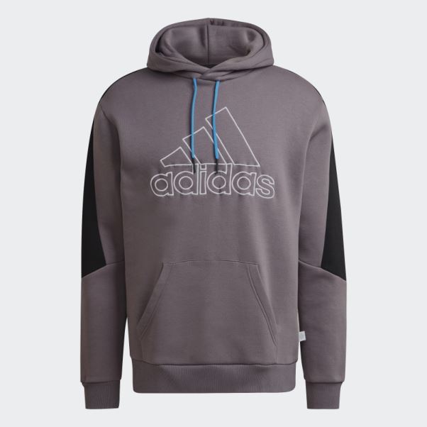 Sweat à Capuche Adidas Future Icons En Molleton Brodé Avec écusson De Sport Gris Trace