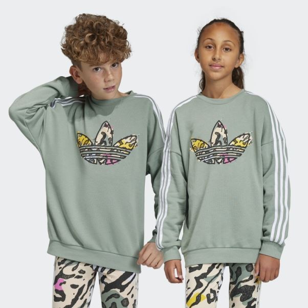 Sweat Ras Du Cou Imprimé Animal Adidas Vert Argent