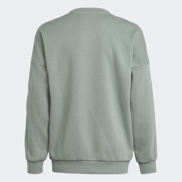 Sweat Ras Du Cou Imprimé Animal Adidas Vert Argent