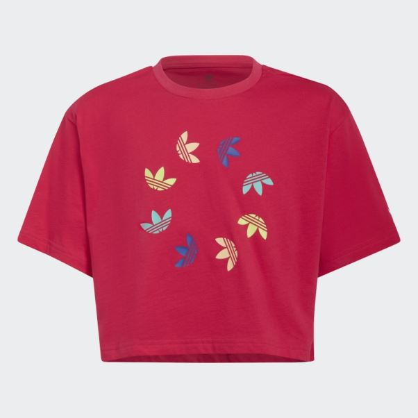 Adidas Crop Top Adicolor Rose Vif