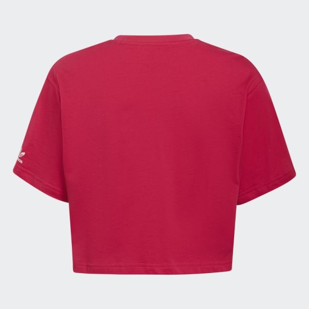Adidas Crop Top Adicolor Rose Vif