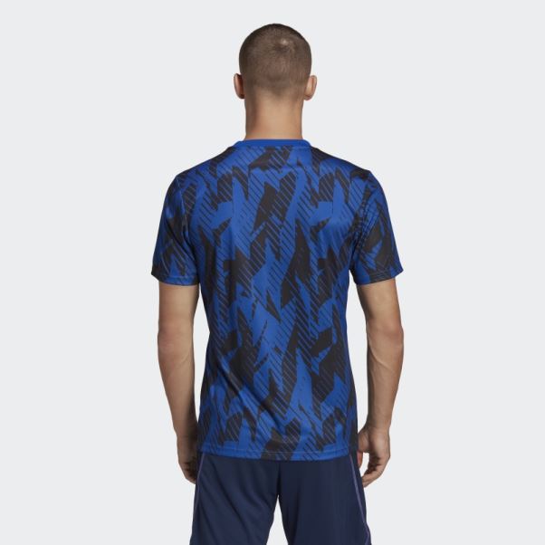 Adidas Maillot Pré-match Argentine Bleu Royal