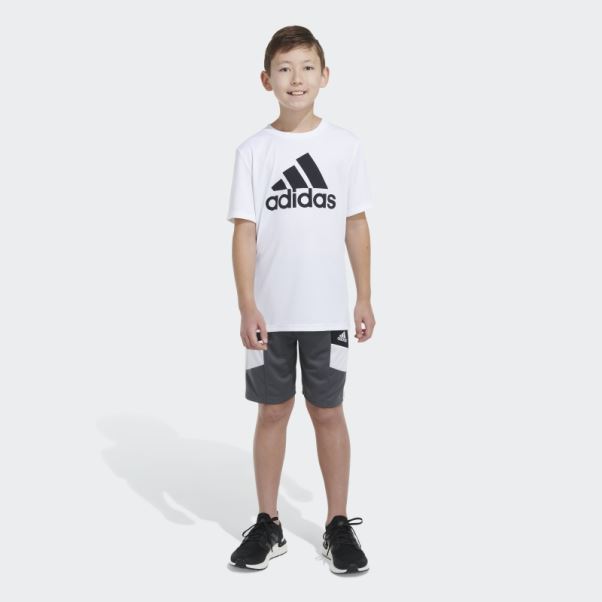 Short Adidas Winner Gris Moyen 23