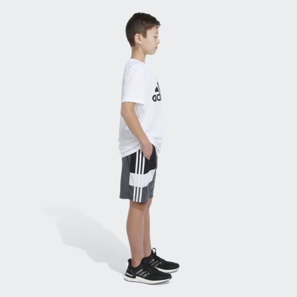 Short Adidas Winner Gris Moyen 23