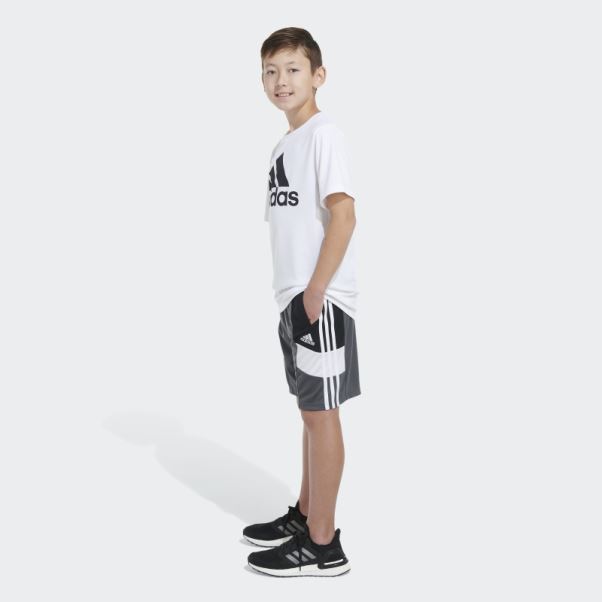 Short Adidas Winner Gris Moyen 23