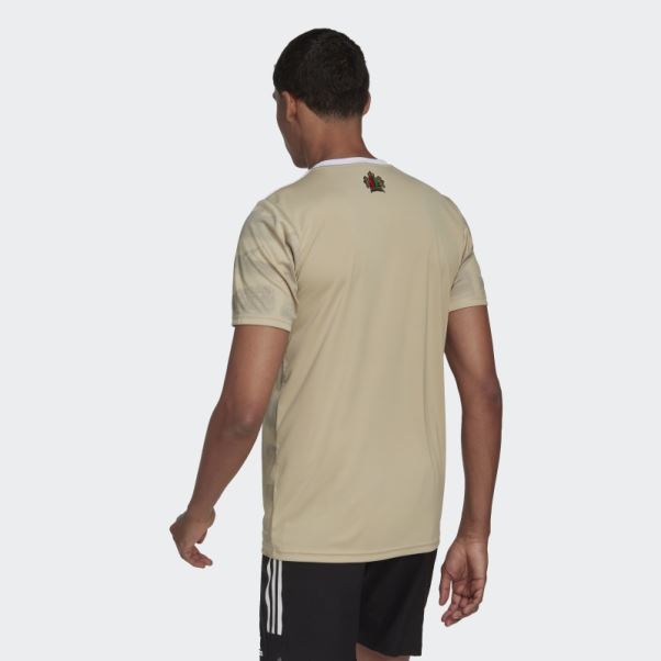Adidas Savanna Ajax Amsterdam X Daily Paper 22/23 Troisième Maillot