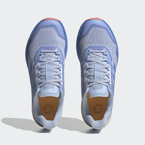 Adidas Aube Terrex Agravic Flow 2.0 Chaussures De Course Sur Sentier Bleu