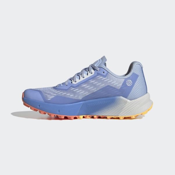 Adidas Aube Terrex Agravic Flow 2.0 Chaussures De Course Sur Sentier Bleu