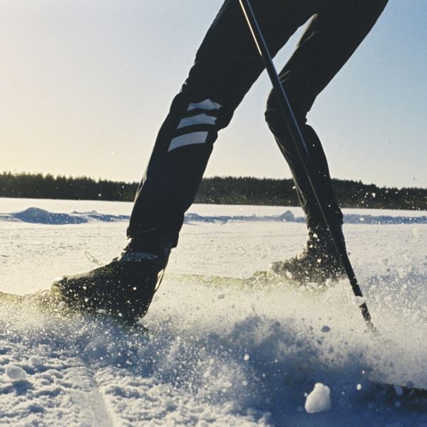 Pantalon De Jogging Ski De Fond Softshell Terrex Xperior Adidas Noir